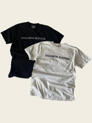 Cauldron Blessed Embroidered T-shirt